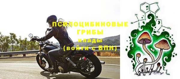 крисы Алзамай