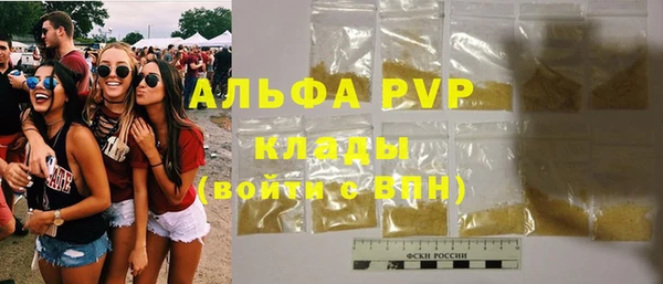 крисы Алзамай
