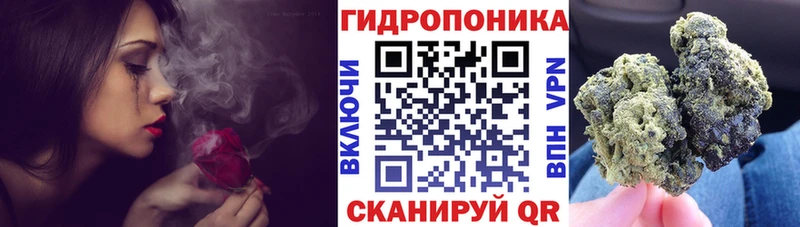Бошки марихуана SATIVA & INDICA  OMG сайт  Белозерск 
